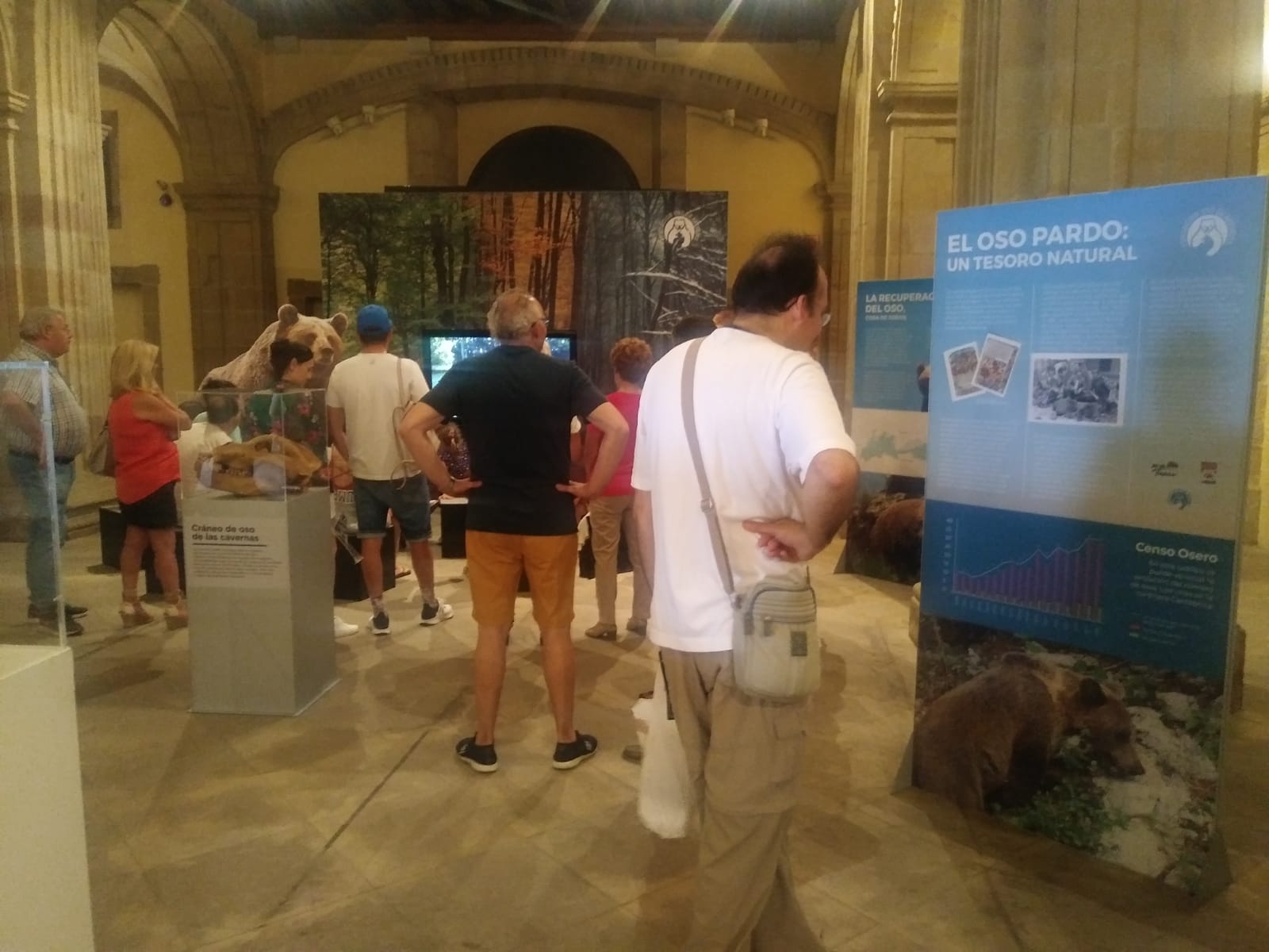 La exposición itinerante ‘Vivir con osos’ alarga su estancia en la Colegiata San Juan Bautista de Gijón hasta el 15 de agosto
